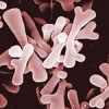Польза бифидобактерий, содержащихся в кисломолочных продуктах, для кишечной микрофлоры. 